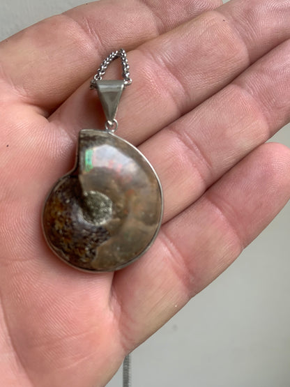 Pendentifs d'Ammonites fossiles, disponibles en 2 tailles, 60x50x20 et 35x25x10 mm. Chaque pièce est authentique et unique, révélant les spirales naturelles et les motifs fascinants de ce fossile. Livrés avec cordon coulissant, prêt à porté ou à offrir !
