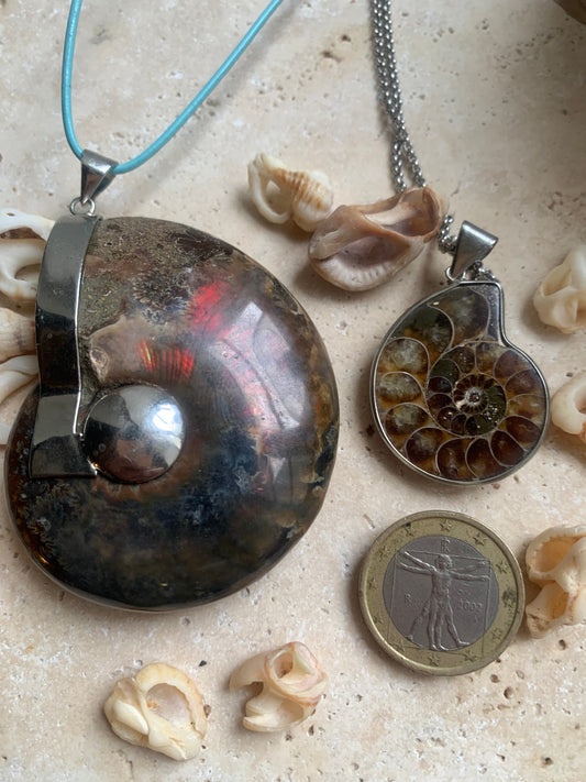 Pendentifs d'Ammonites fossiles, disponibles en 2 tailles, 60x50x20 et 35x25x10 mm. Chaque pièce est authentique et unique, révélant les spirales naturelles et les motifs fascinants de ce fossile. Livrés avec cordon coulissant, prêt à porté ou à offrir !