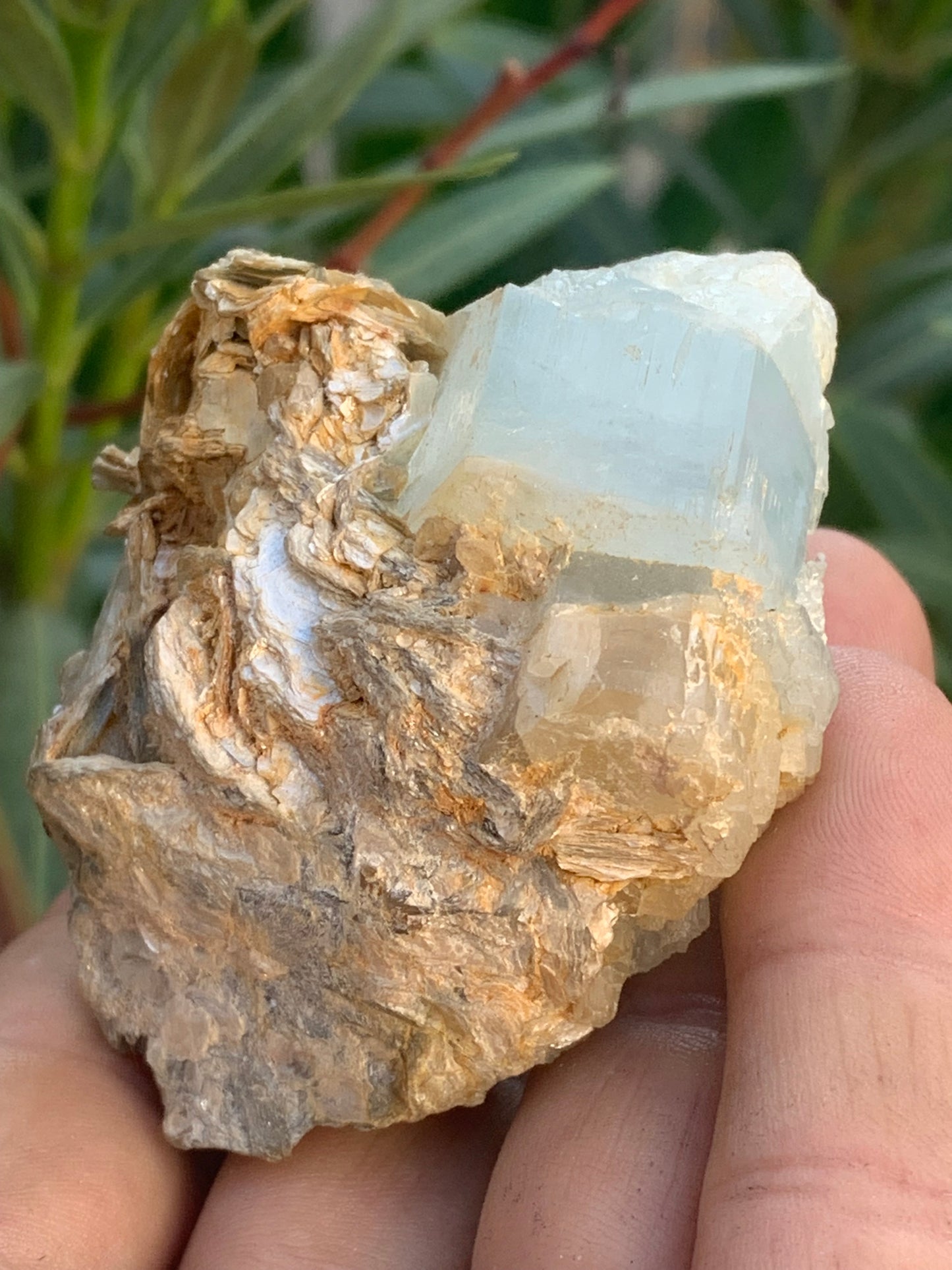 Aigue-marine avec Muscovite, superbe pièce de 69x60x38mm - 151,3 grammes ! Un bloc quasi pur en aigue-marine !