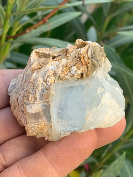 Aigue-marine avec Muscovite, superbe pièce de 69x60x38mm - 151,3 grammes ! Un bloc quasi pur en aigue-marine !