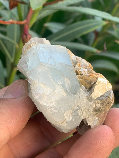 Aigue-marine avec Muscovite, superbe pièce de 69x60x38mm - 151,3 grammes ! Un bloc quasi pur en aigue-marine !