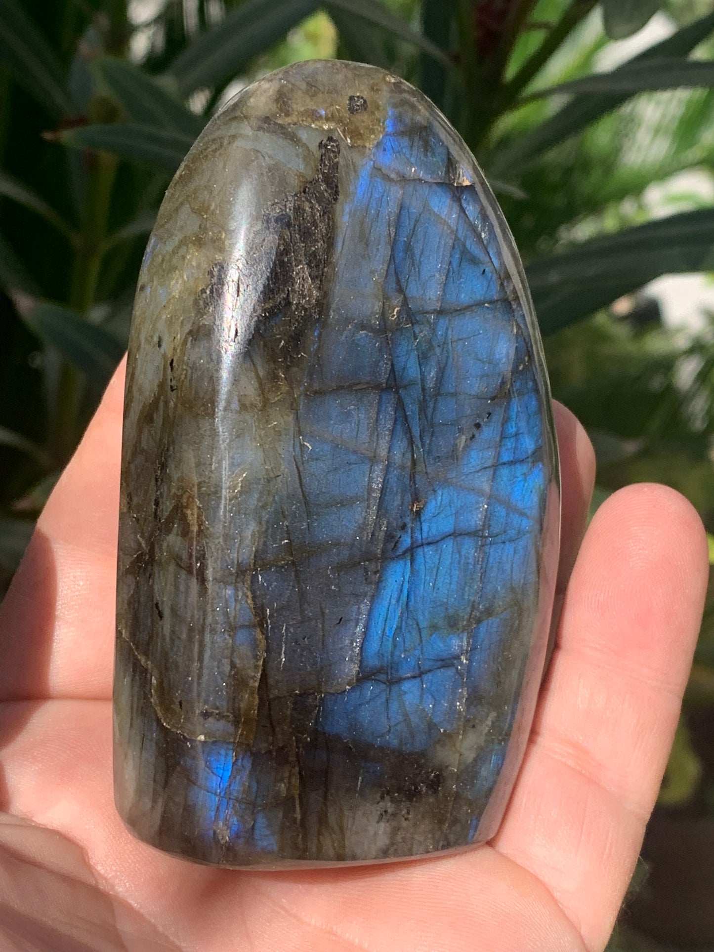Labradorite, forme libre de qualité AAA, 95 x 60 x 30 mm - 424 grammes environ. Très belle qualité, parfait !