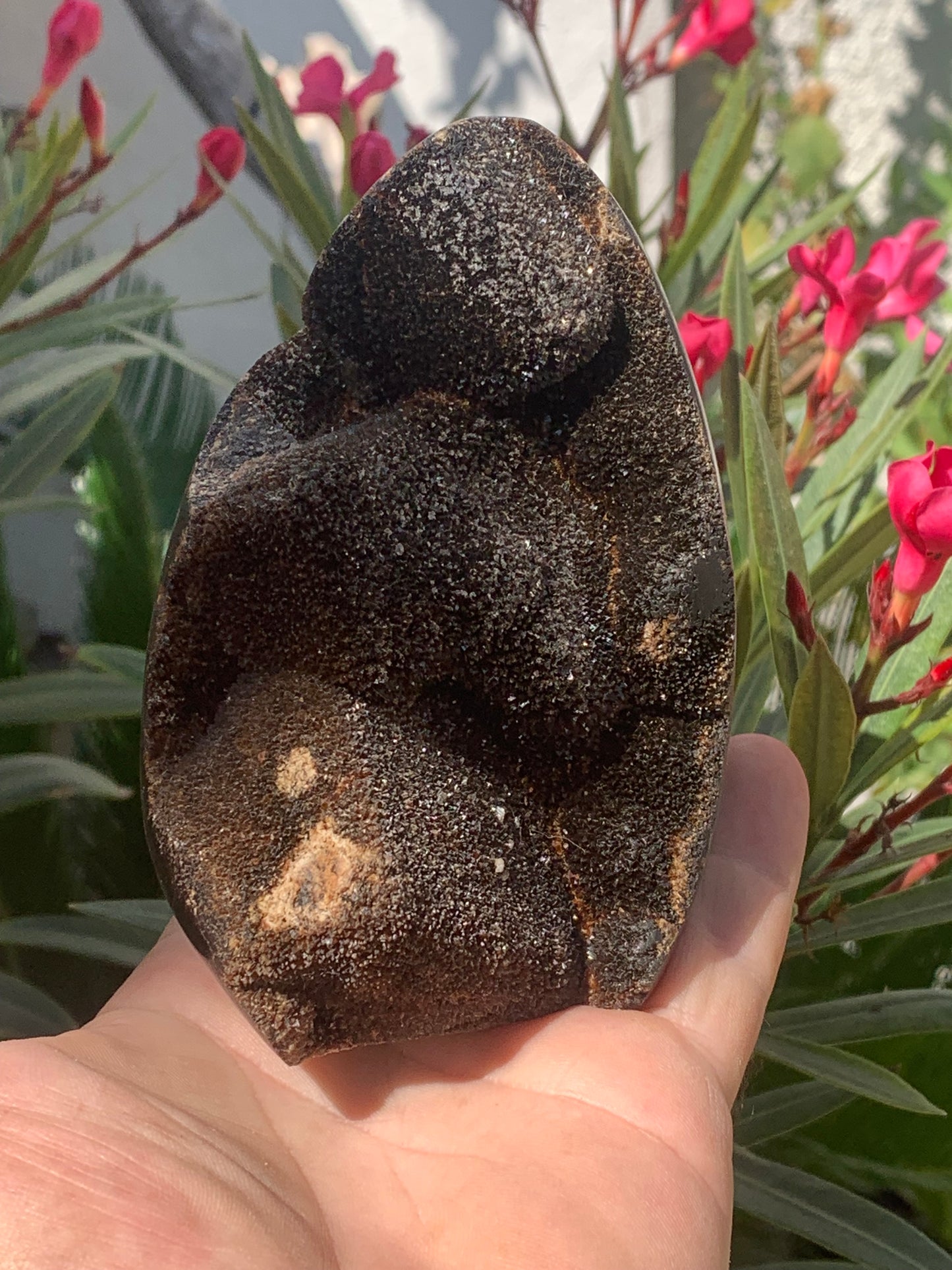 Septaria, forme libre à poser, 863 grammes - 120 x 85 x 80 millimètres. Superbe qualité, une forme libre ouverte pleine de velours minéral !