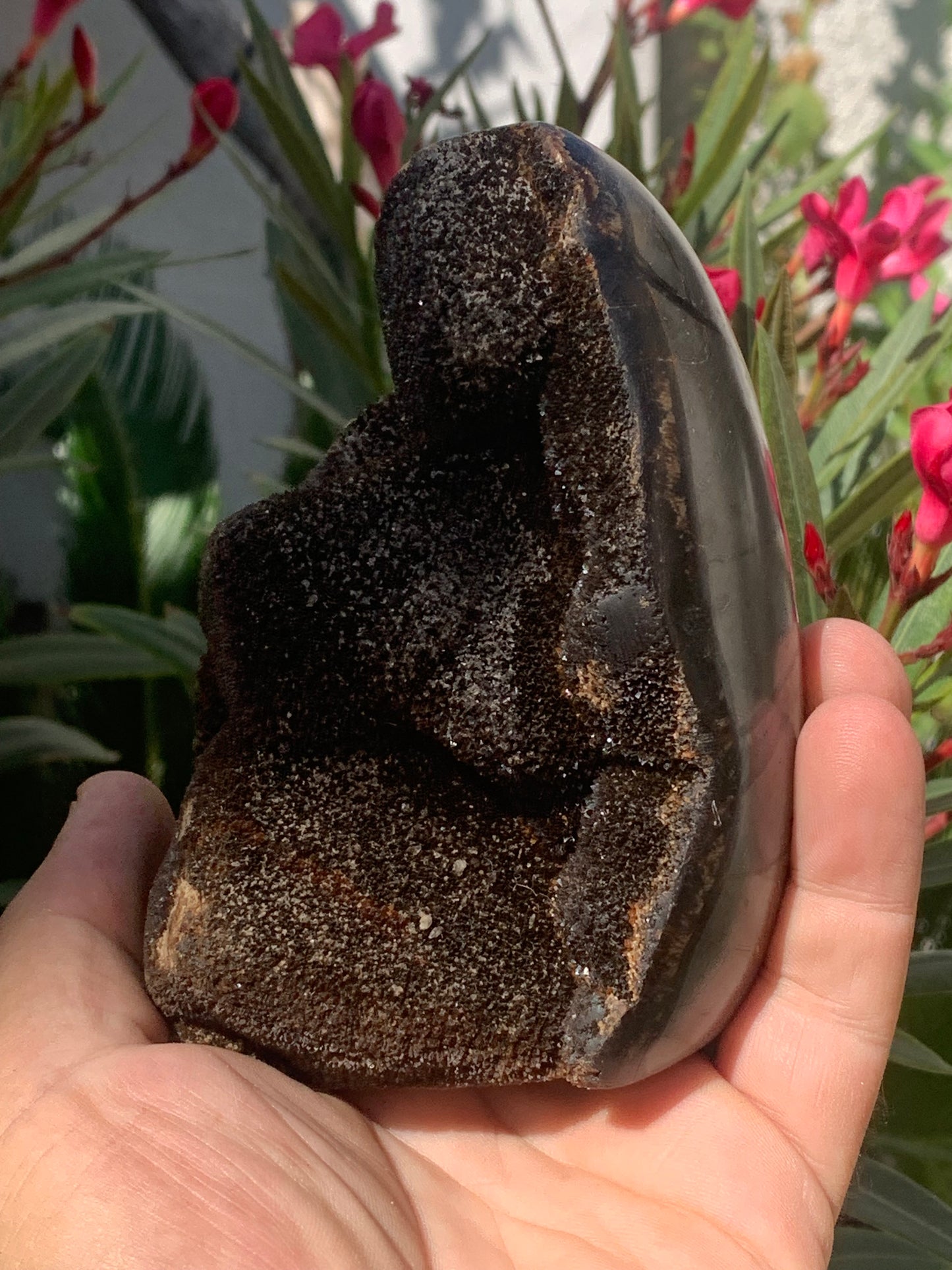 Septaria, forme libre à poser, 863 grammes - 120 x 85 x 80 millimètres. Superbe qualité, une forme libre ouverte pleine de velours minéral !