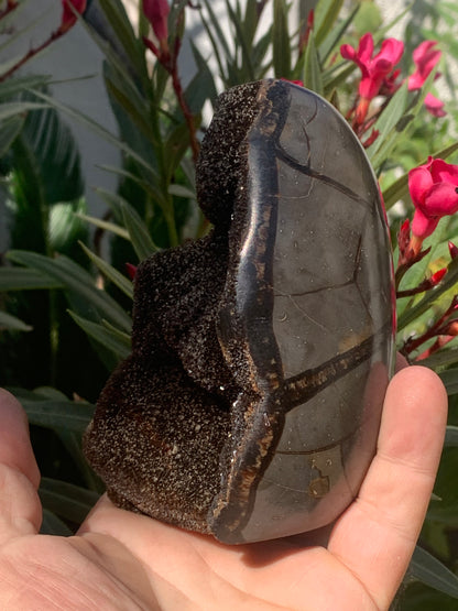 Septaria, forme libre à poser, 863 grammes - 120 x 85 x 80 millimètres. Superbe qualité, une forme libre ouverte pleine de velours minéral !