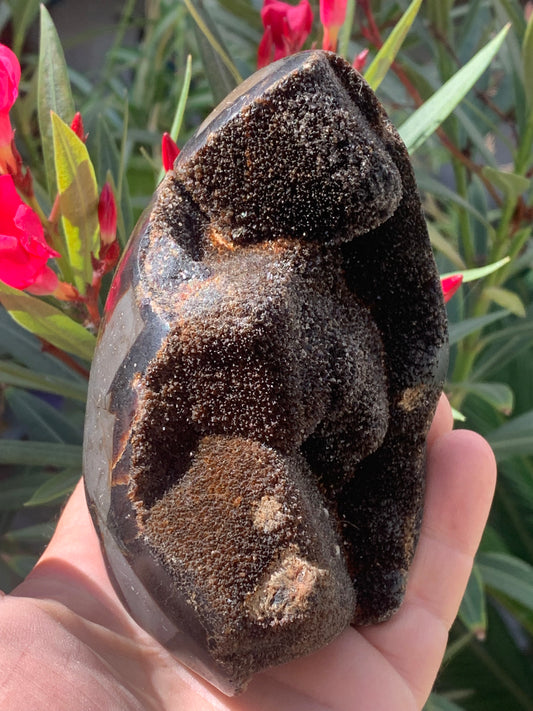 Septaria, forme libre à poser, 863 grammes - 120 x 85 x 80 millimètres. Superbe qualité, une forme libre ouverte pleine de velours minéral !
