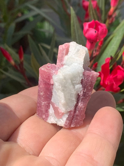 Tourmaline Rubellite, spécimen naturel de 45 x 31 x 30 mm - 47,7 grammes. Belle petite pièce !