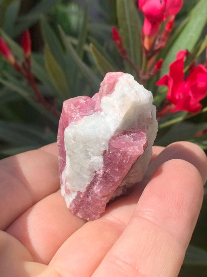 Tourmaline Rubellite, spécimen naturel de 45 x 31 x 30 mm - 47,7 grammes. Belle petite pièce !
