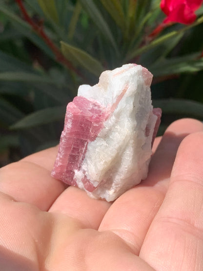 Tourmaline Rubellite, spécimen naturel de 45 x 31 x 30 mm - 47,7 grammes. Belle petite pièce !