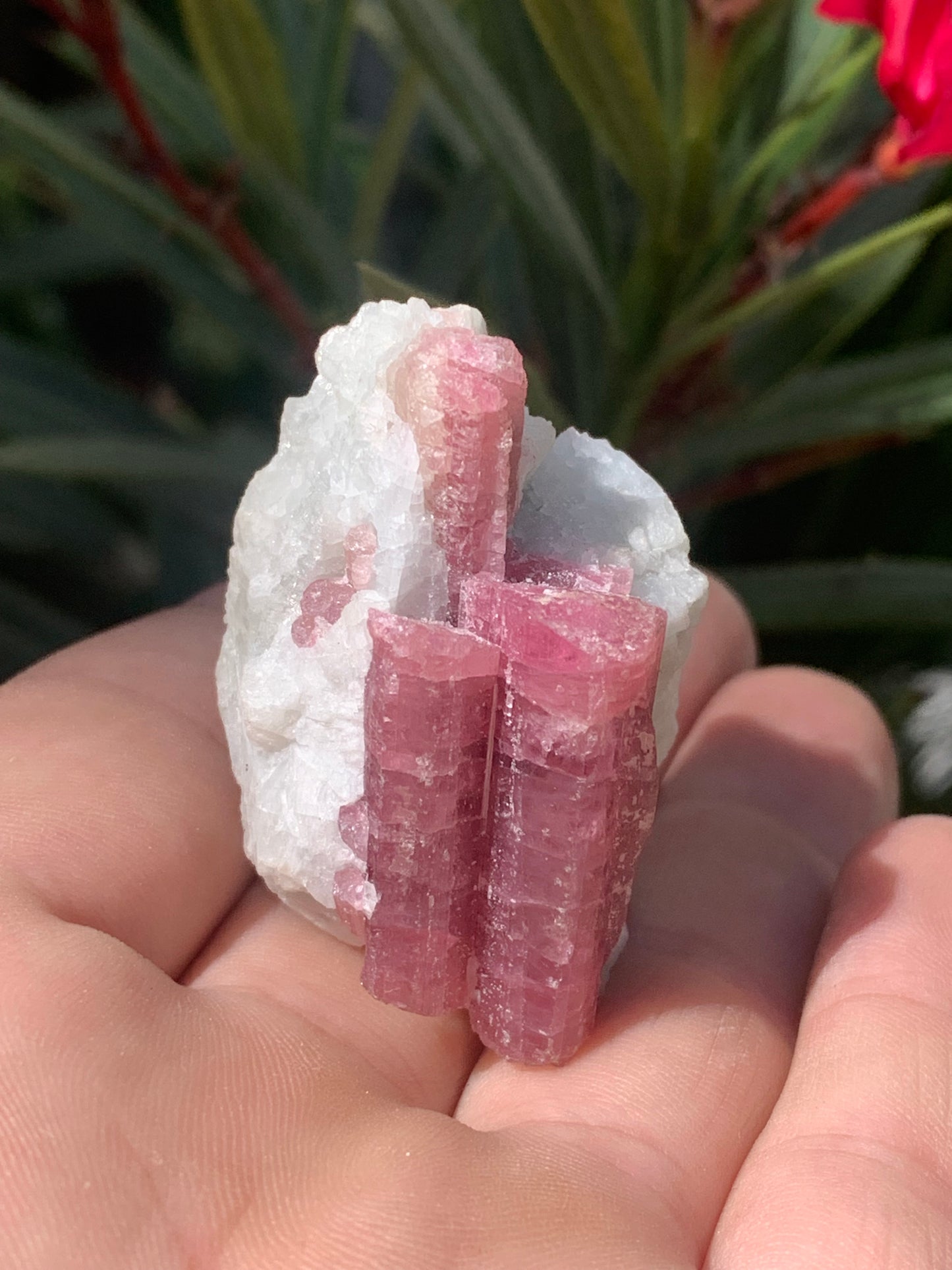 Tourmaline Rubellite, spécimen naturel de 45 x 31 x 30 mm - 47,7 grammes. Belle petite pièce !