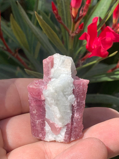 Tourmaline Rubellite, spécimen naturel de 45 x 31 x 30 mm - 47,7 grammes. Belle petite pièce !
