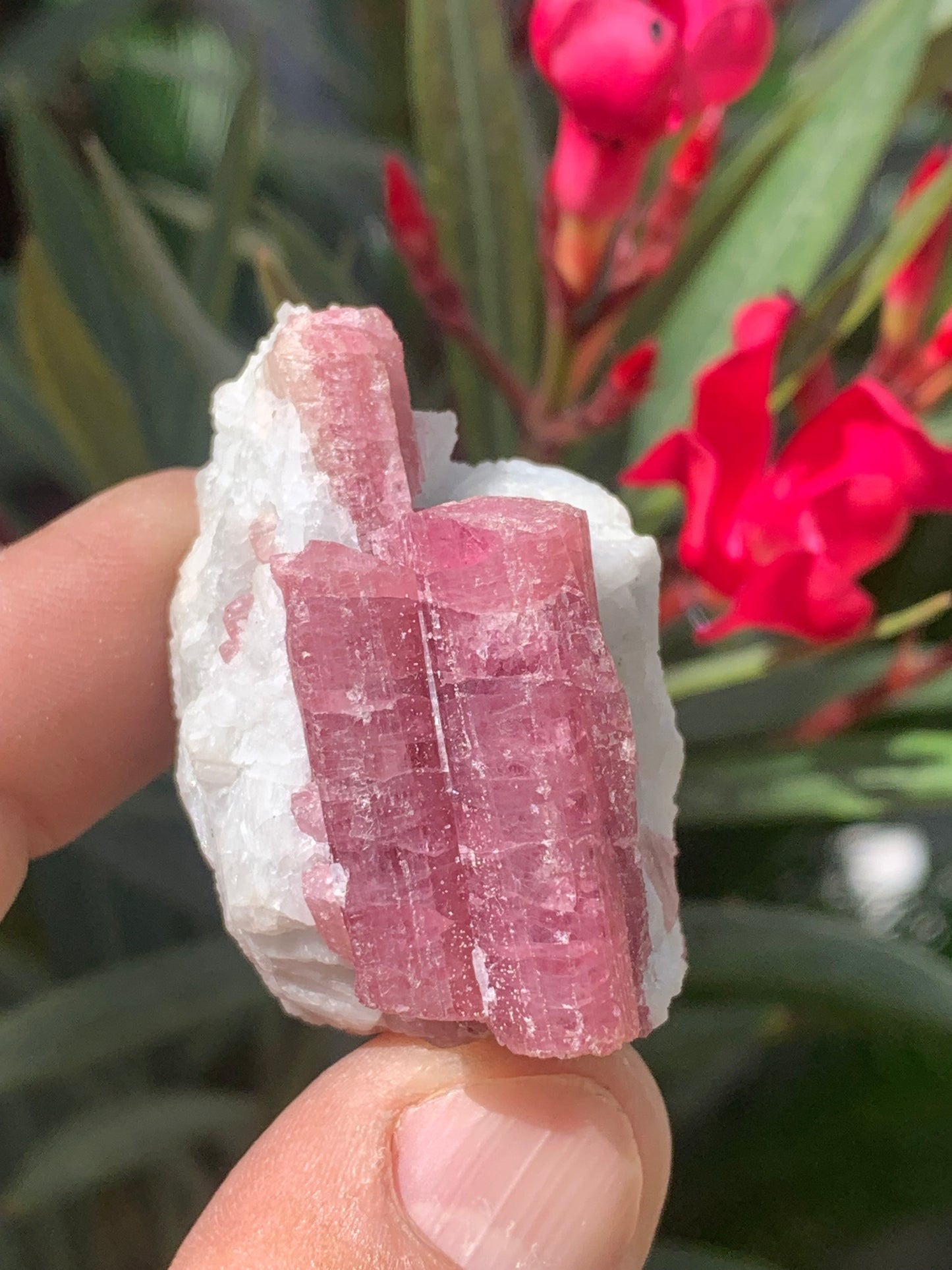 Tourmaline Rubellite, spécimen naturel de 45 x 31 x 30 mm - 47,7 grammes. Belle petite pièce !