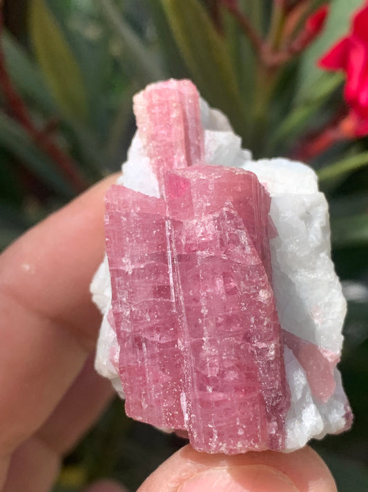 Rubellite Tourmaline, natural specimen measuring 45 x 31 x 30 mm - 47.7 grams. Beautiful little piece! 