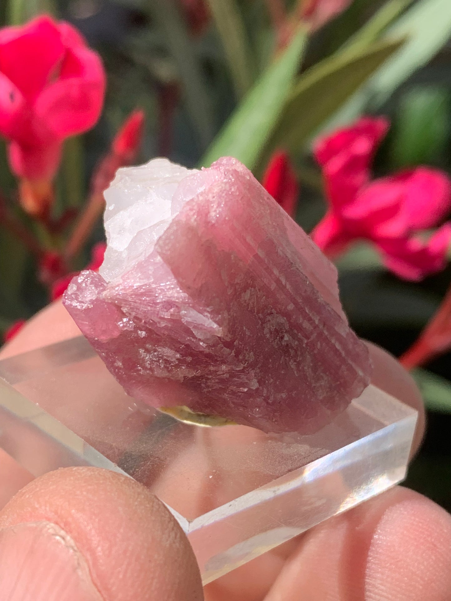 Tourmaline Rubellite, spécimen naturel de 33 x 22 x 20 mm - 17 grammes. Belle petite pièce !