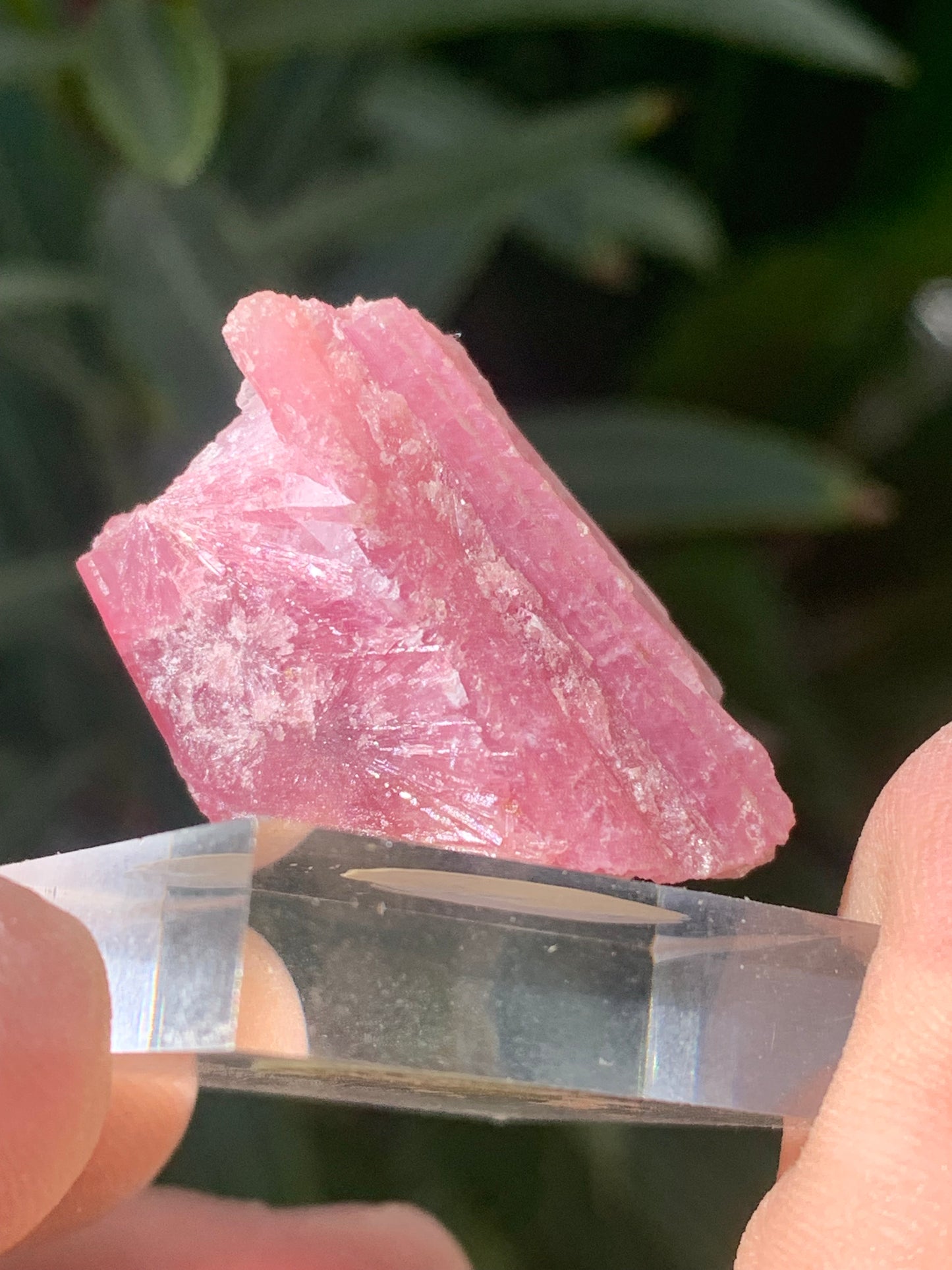 Tourmaline Rubellite, spécimen naturel de 33 x 22 x 20 mm - 17 grammes. Belle petite pièce !
