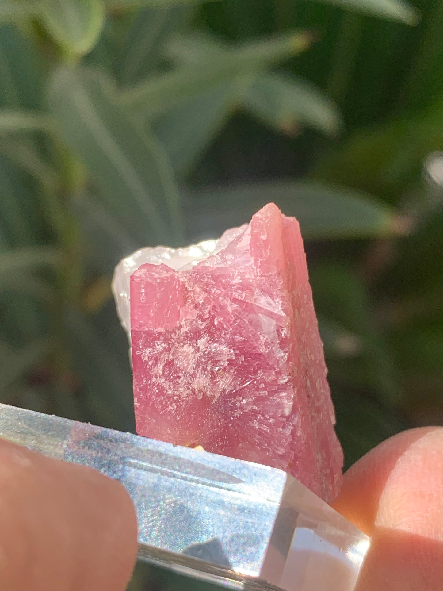 Tourmaline Rubellite, spécimen naturel de 33 x 22 x 20 mm - 17 grammes. Belle petite pièce !