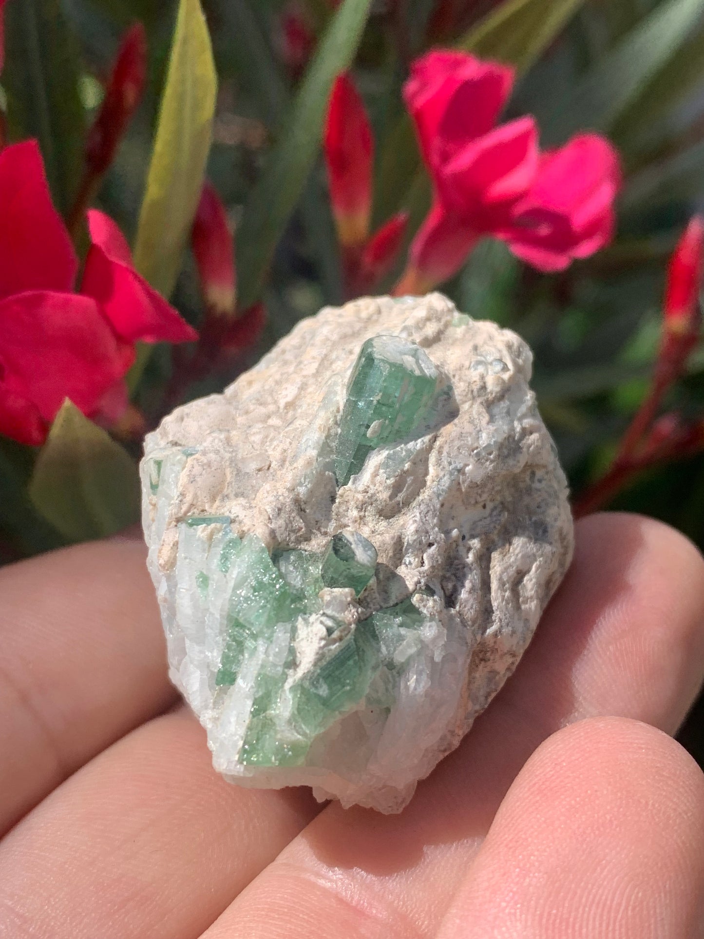 Tourmaline verte/ Verdélite, spécimen naturel de 45 x 32 x 29 mm - 53,9 grammes environ. 2 magnifiques cristaux de belle longueur !