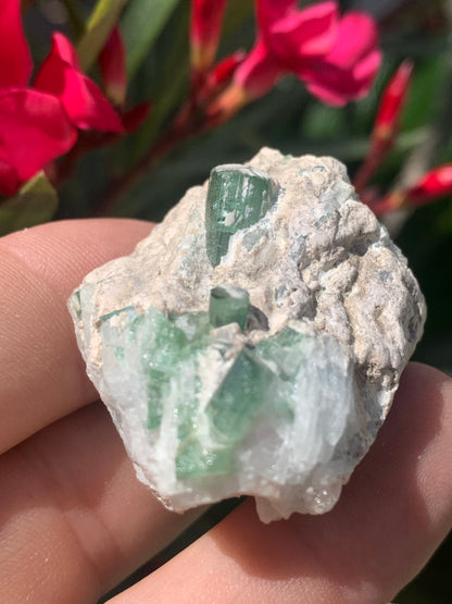 Tourmaline verte/ Verdélite, spécimen naturel de 45 x 32 x 29 mm - 53,9 grammes environ. 2 magnifiques cristaux de belle longueur !