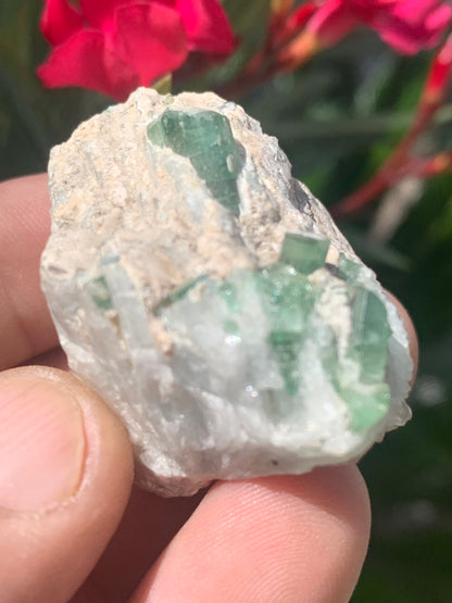 Tourmaline verte/ Verdélite, spécimen naturel de 45 x 32 x 29 mm - 53,9 grammes environ. 2 magnifiques cristaux de belle longueur !