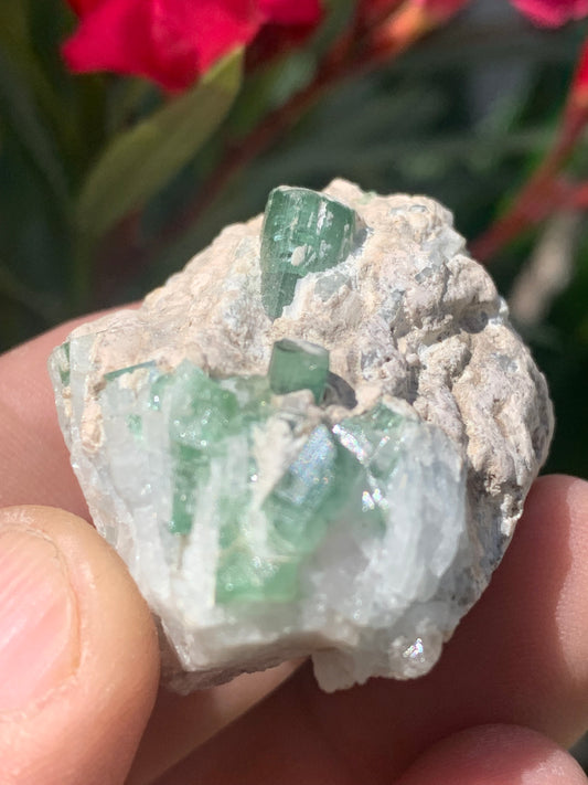 Green Tourmaline/Verdelite, natural specimen measuring 45 x 32 x 29 mm - approximately 53.9 grams. 2 magnificent crystals of good length! 
