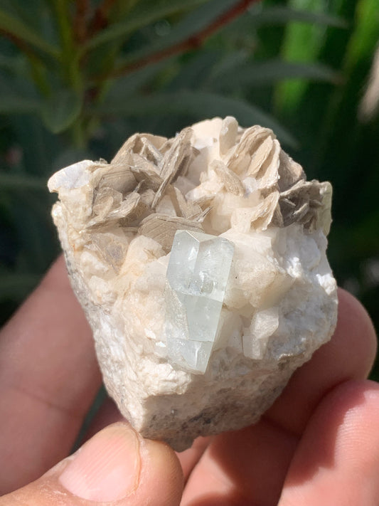 Aigue-marine avec Muscovite, superbe pièce de 54x43x38mm - 120,3 grammes, un magnifique cristal sur gangue !