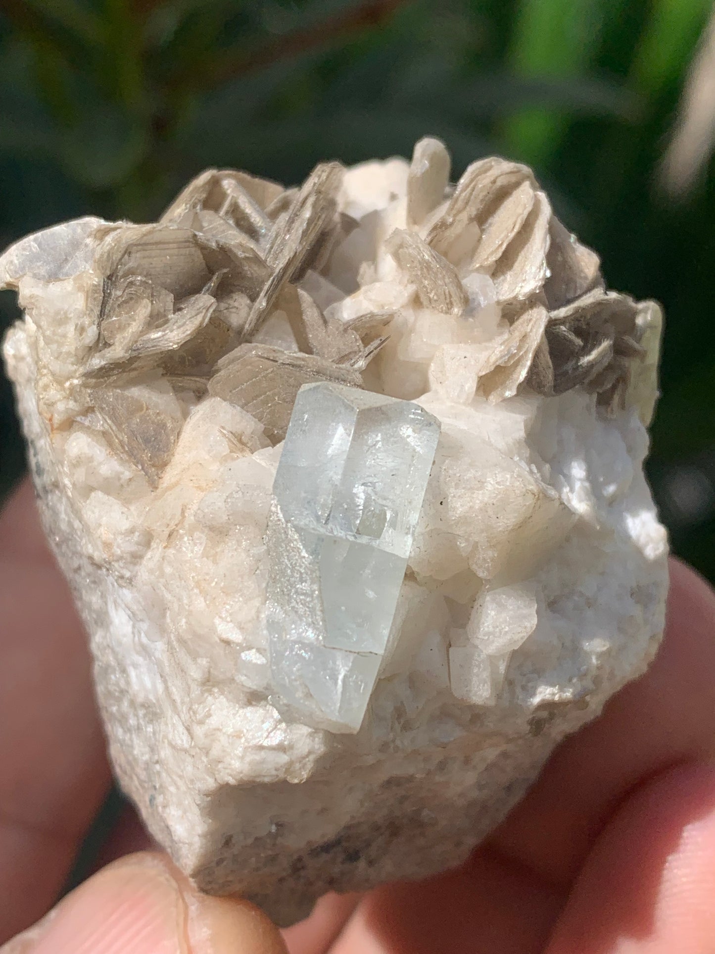 Aigue-marine avec Muscovite, superbe pièce de 54x43x38mm - 120,3 grammes, un magnifique cristal sur gangue !