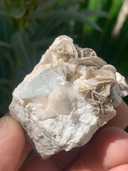 Aigue-marine avec Muscovite, superbe pièce de 54x43x38mm - 120,3 grammes, un magnifique cristal sur gangue !