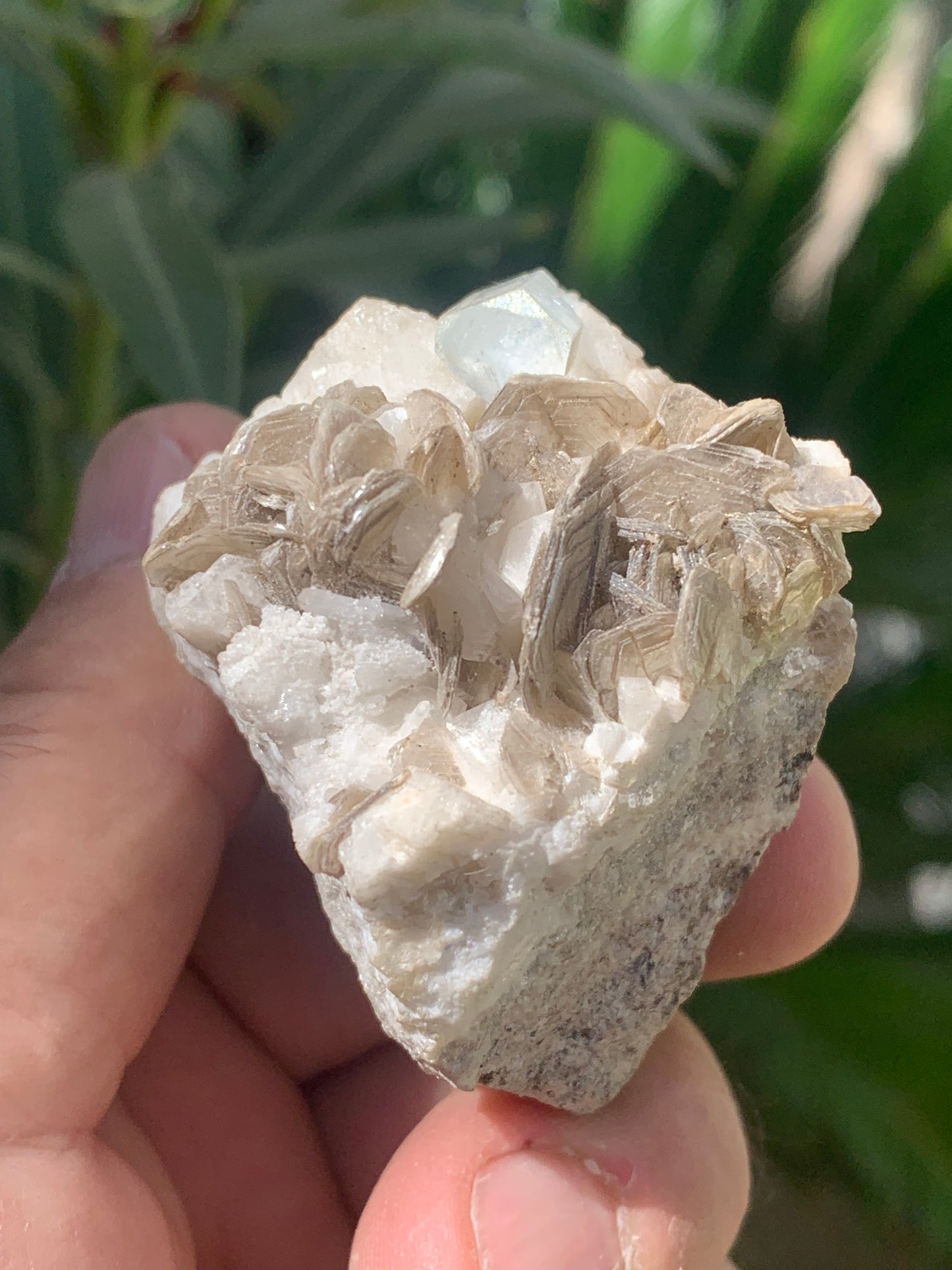Aigue-marine avec Muscovite, superbe pièce de 54x43x38mm - 120,3 grammes, un magnifique cristal sur gangue !
