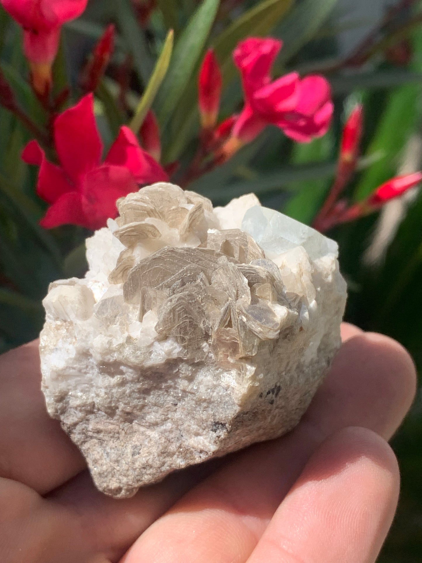 Aigue-marine avec Muscovite, superbe pièce de 54x43x38mm - 120,3 grammes, un magnifique cristal sur gangue !