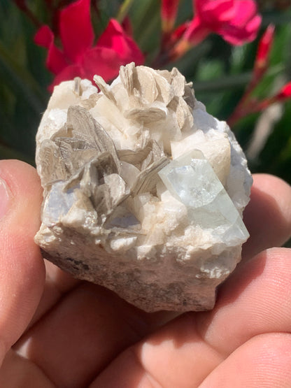Aigue-marine avec Muscovite, superbe pièce de 54x43x38mm - 120,3 grammes, un magnifique cristal sur gangue !