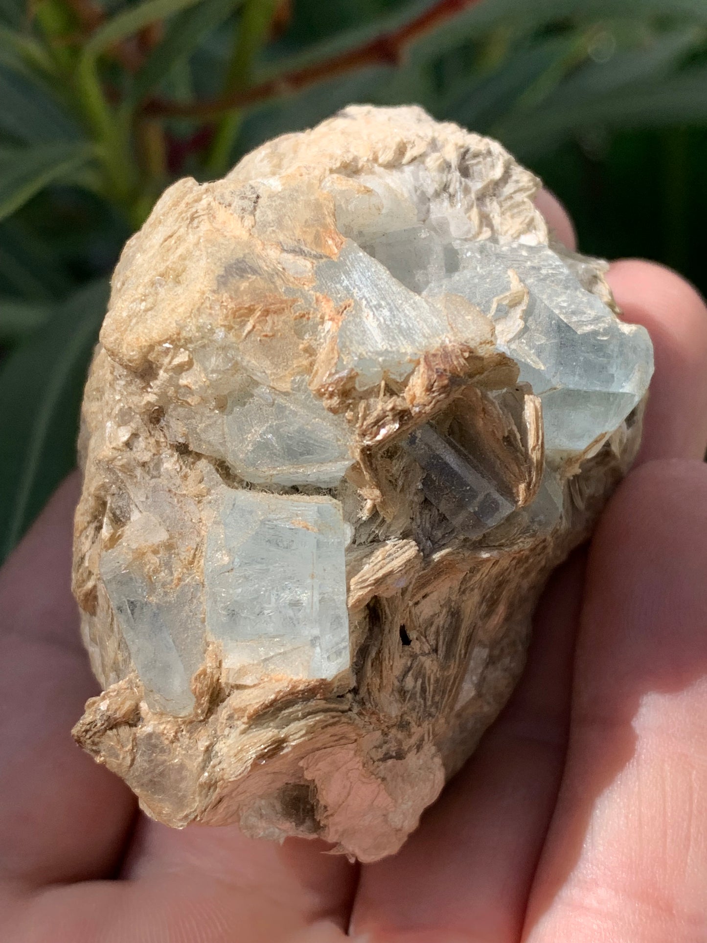 Aigue-marine avec Muscovite, superbe pièce de 66x48x43mm - 162,8 grammes, 6 magnifiques cristaux sur gangue !