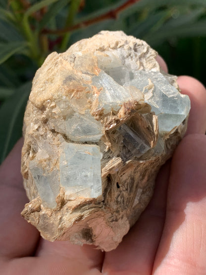 Aigue-marine avec Muscovite, superbe pièce de 66x48x43mm - 162,8 grammes, 6 magnifiques cristaux sur gangue !