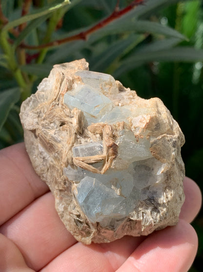 Aigue-marine avec Muscovite, superbe pièce de 66x48x43mm - 162,8 grammes, 6 magnifiques cristaux sur gangue !