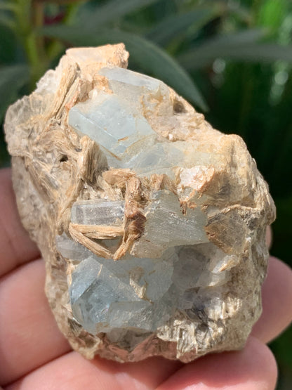 Aigue-marine avec Muscovite, superbe pièce de 66x48x43mm - 162,8 grammes, 6 magnifiques cristaux sur gangue !