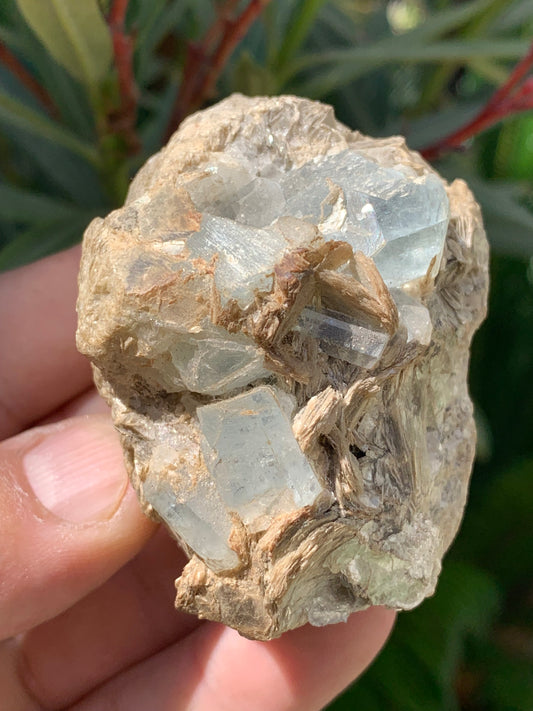 Aigue-marine avec Muscovite, superbe pièce de 66x48x43mm - 162,8 grammes, 6 magnifiques cristaux sur gangue !