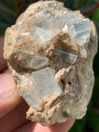 Aigue-marine avec Muscovite, superbe pièce de 66x48x43mm - 162,8 grammes, 6 magnifiques cristaux sur gangue !