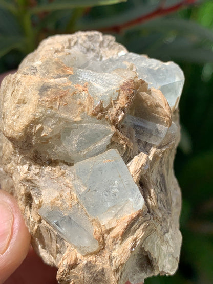 Aigue-marine avec Muscovite, superbe pièce de 66x48x43mm - 162,8 grammes, 6 magnifiques cristaux sur gangue !