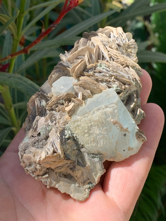 Aigue-marine avec Muscovite, superbe pièce de 101x72x44mm - 186,6 grammes. Magnifiques cristaux dont un très gros sur gangue !