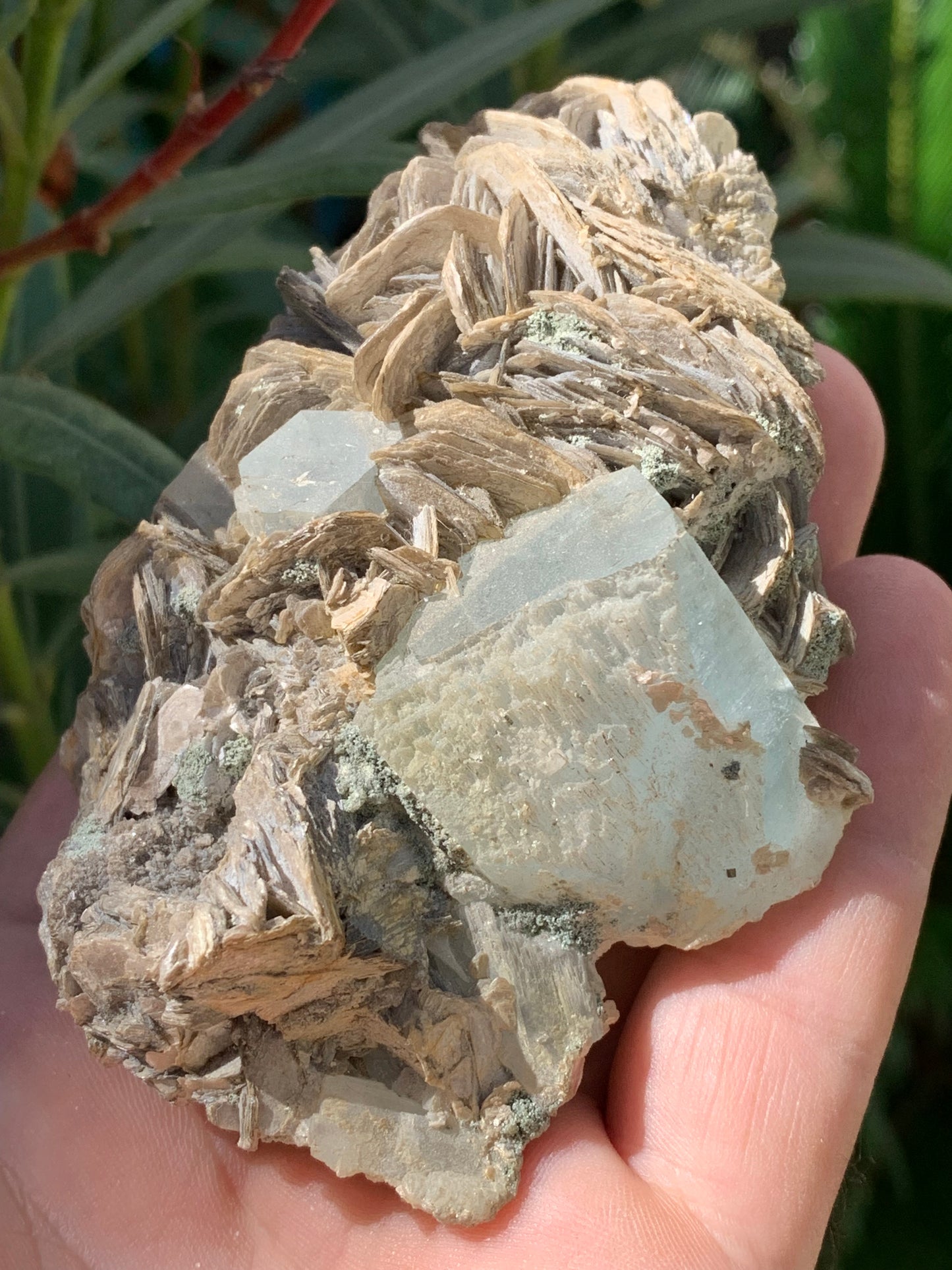 Aigue-marine avec Muscovite, superbe pièce de 101x72x44mm - 186,6 grammes. Magnifiques cristaux dont un très gros sur gangue !