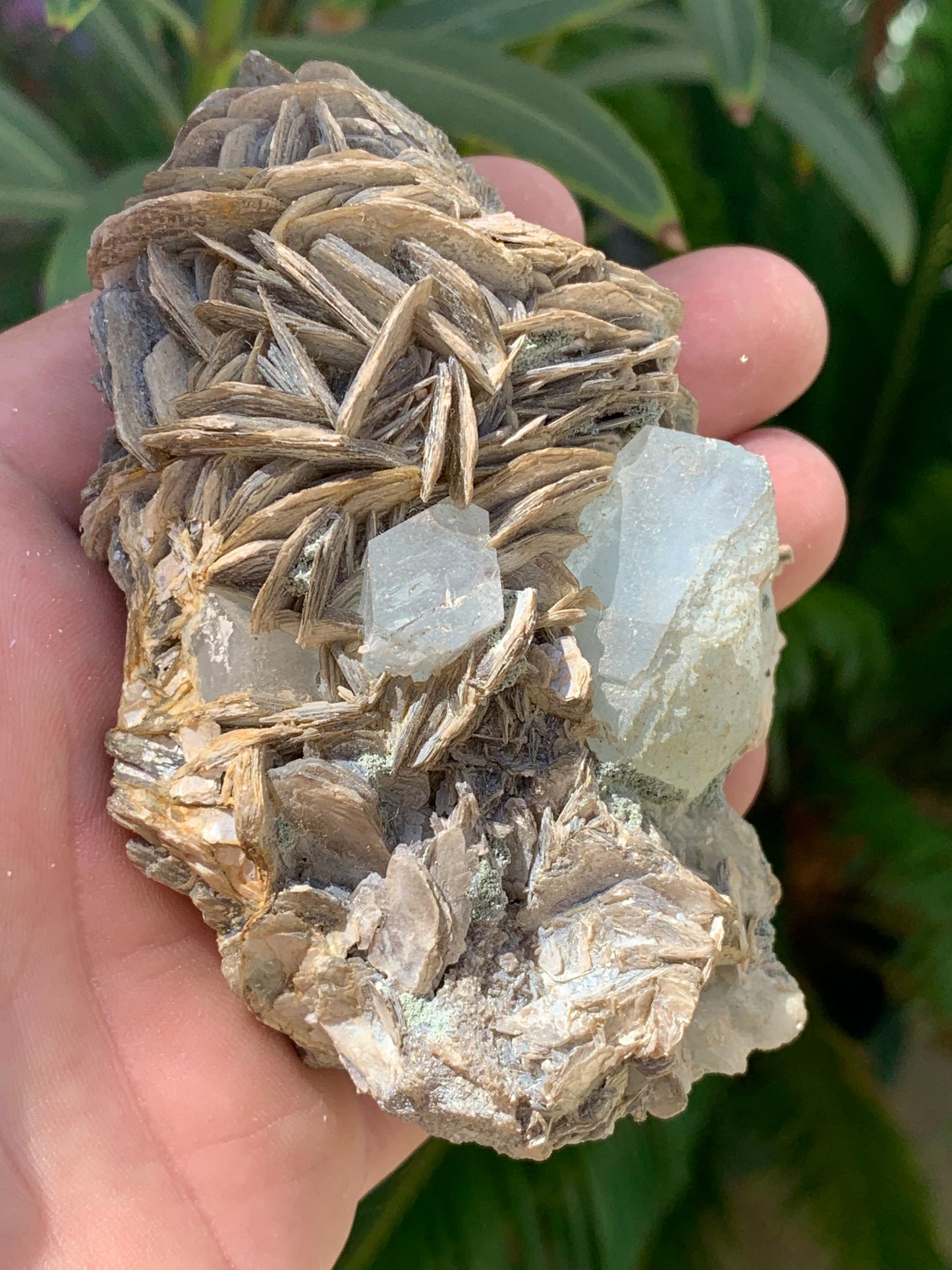 Aigue-marine avec Muscovite, superbe pièce de 101x72x44mm - 186,6 grammes. Magnifiques cristaux dont un très gros sur gangue !