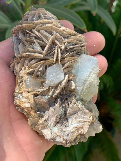 Aigue-marine avec Muscovite, superbe pièce de 101x72x44mm - 186,6 grammes. Magnifiques cristaux dont un très gros sur gangue !