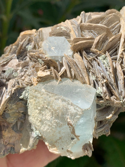 Aigue-marine avec Muscovite, superbe pièce de 101x72x44mm - 186,6 grammes. Magnifiques cristaux dont un très gros sur gangue !