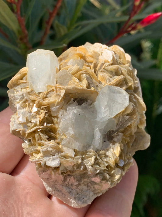 Aigue-marine avec Muscovite, superbe pièce de 82x70x51mm - 311,3 grammes, 2 magnifiques cristaux sur gangue !