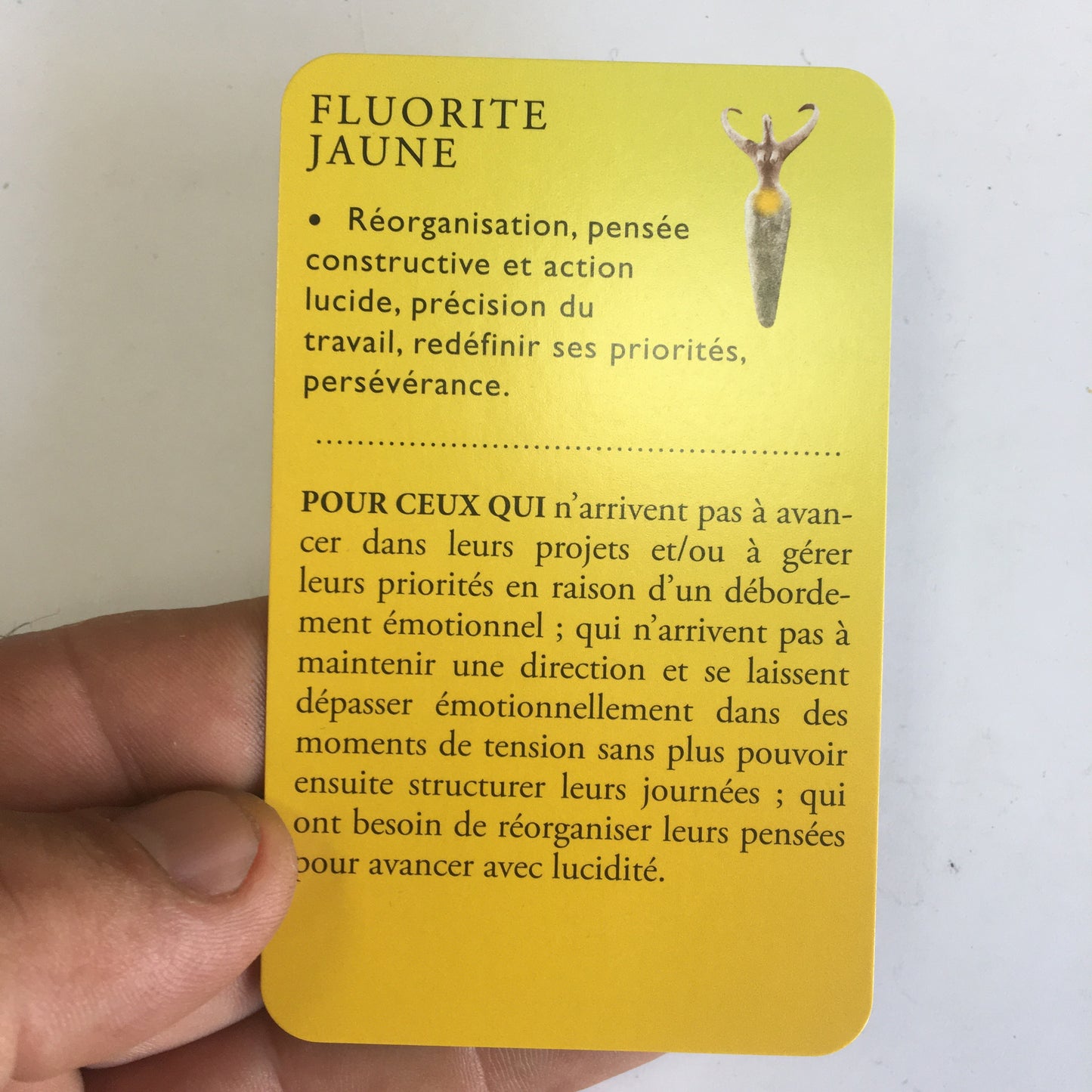 Jeu de tarot complet (110 cartes) : La Voie des Pierres, Cristaux & Chakras, par Regina Martino. Parfait pour s’initier à la lithothérapie !
