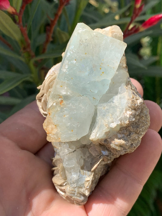 Aigue-marine avec Muscovite, superbe pièce de 87x63x60mm - 218,5 grammes, 3 magnifiques cristaux dont un très gros sur gangue !