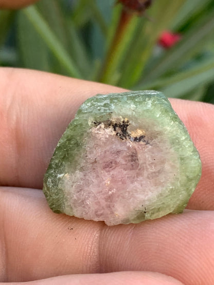 Tourmaline melon d'eau/ pastèque, cristal brut de 27mm x22 x13 environ - 11,3 grammes. Parfait en bijouterie, collection ,exposition...