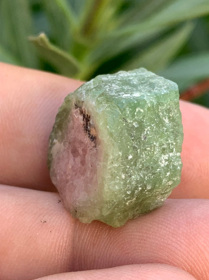 Tourmaline melon d'eau/ pastèque, cristal brut de 27mm x22 x13 environ - 11,3 grammes. Parfait en bijouterie, collection ,exposition...