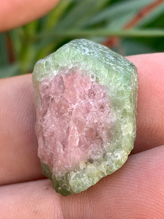 Tourmaline melon d'eau/ pastèque, cristal brut de 27mm x22 x13 environ - 11,3 grammes. Parfait en bijouterie, collection ,exposition...