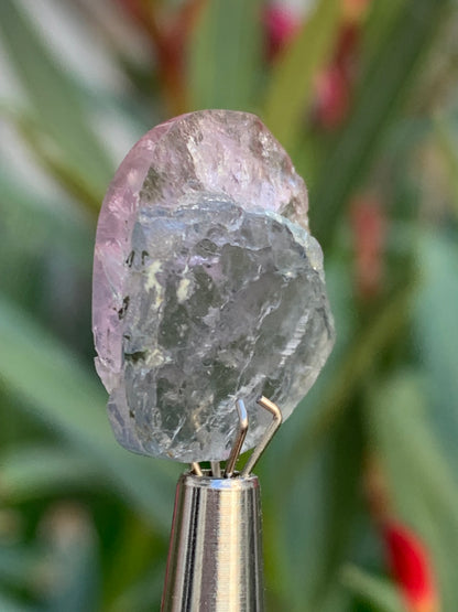 Tourmaline elbaïte de 20mm x 16 x 5 - 2,2 grammes/ 11 carats. Superbe pièce naturelle !