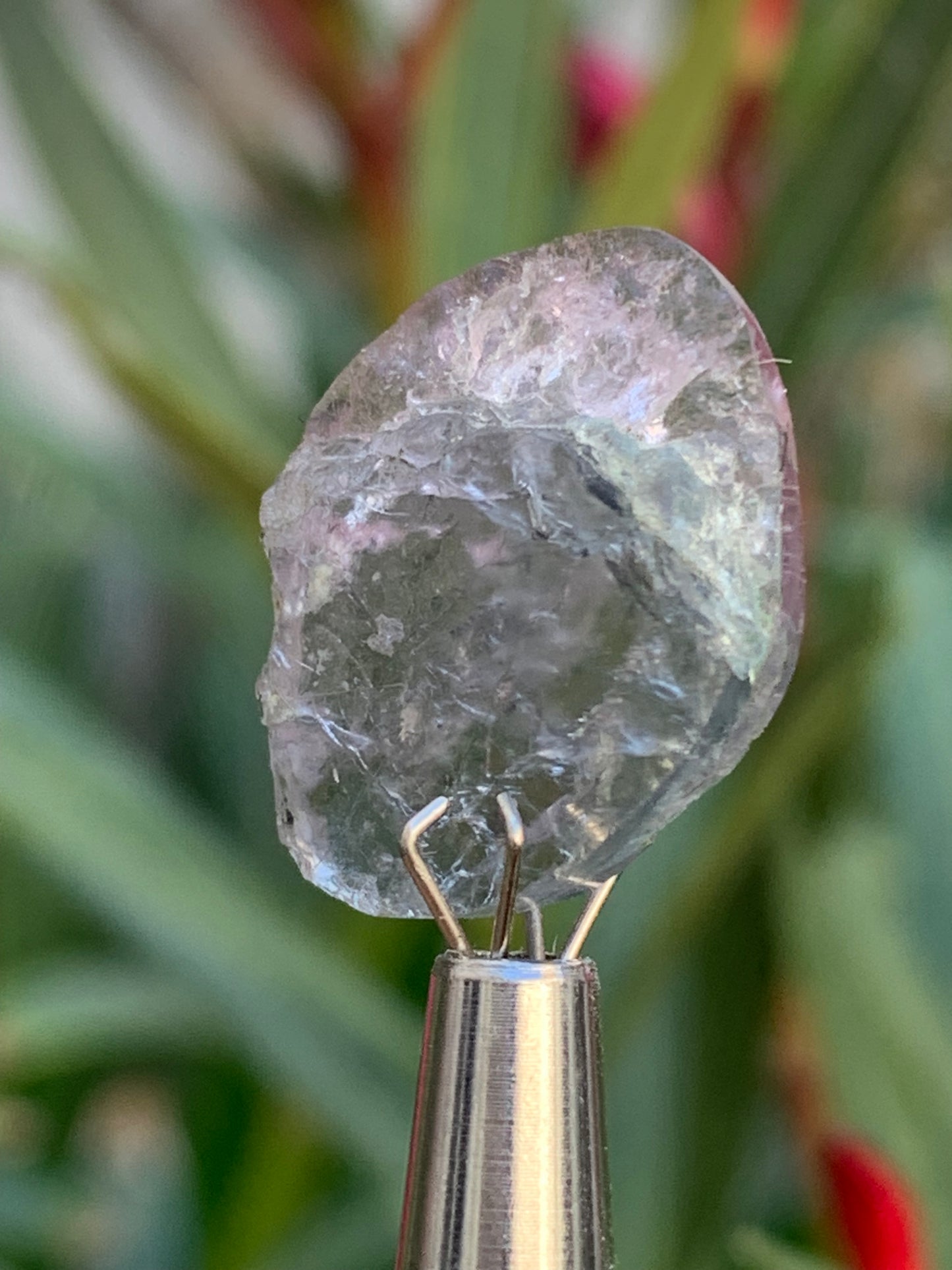 Tourmaline elbaïte de 20mm x 16 x 5 - 2,2 grammes/ 11 carats. Superbe pièce naturelle !